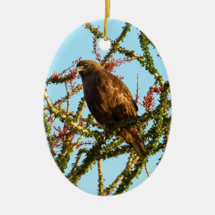 Ornamento De Cerâmica Falcão-de-cauda-vermelha imaturo em arbusto de Oco