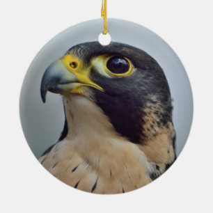 Ornamento De Cerâmica Falcão de peregrino majestoso