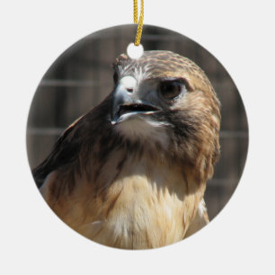Ornamento De Cerâmica Falcão/ornamento atados vermelho do Buzzard
