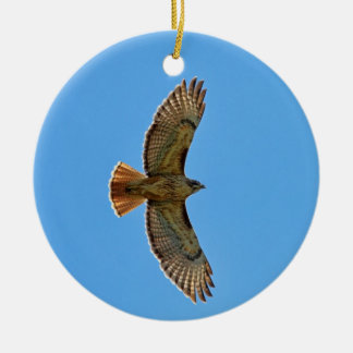 Ornamento De Cerâmica Falcão Vermelho-Atado em vôo