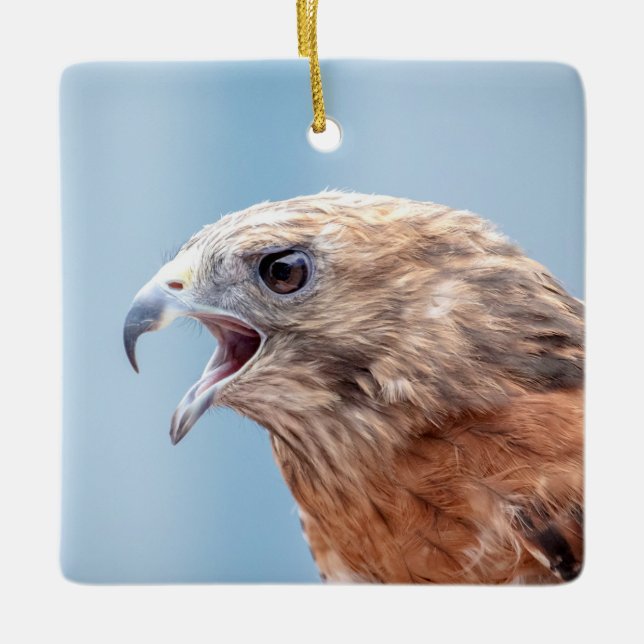 Ornamento De Cerâmica Falcão Vermelho Ombro numa pedra (Frente)