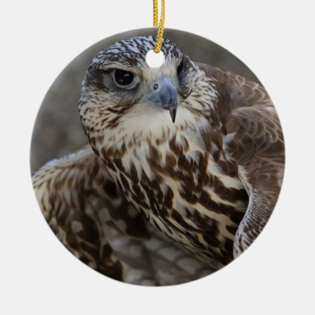 Ornamento De Cerâmica Falco cherrug (Frente)