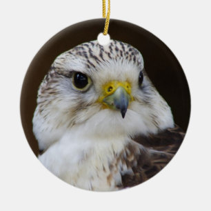 Ornamento De Cerâmica Falco cherrug Portrait
