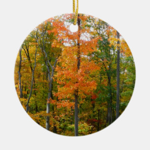 Ornamento De Cerâmica Fall Maple Trees Autumn Nature Fotografia