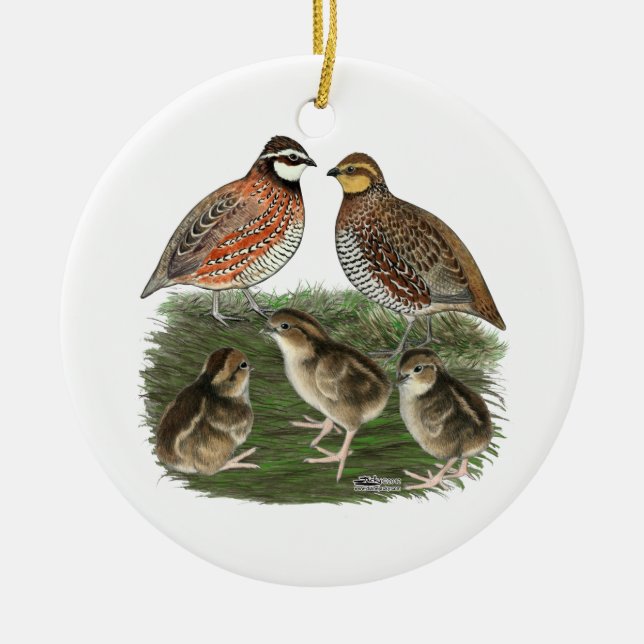 Ornamento De Cerâmica Família de Codorniz Bobwhite (Frente)