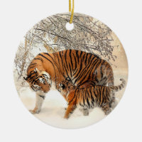Família do tigre no inverno