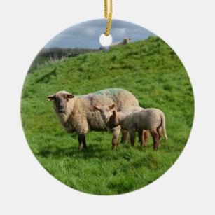 Ornamento De Cerâmica Família dos carneiros