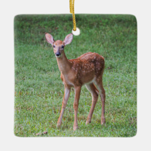 Ornamento De Cerâmica Fawn