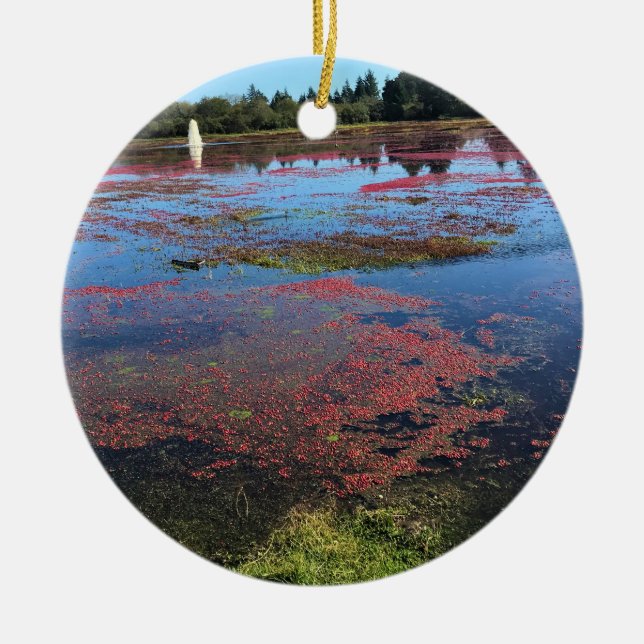 Ornamento De Cerâmica Fazenda de Cranberry, Long Beach, Washington (Frente)