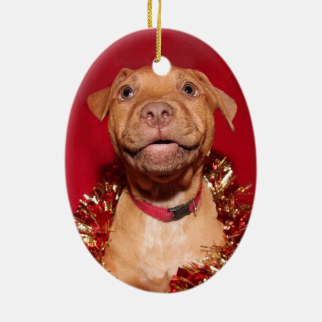 Ornamento De Cerâmica Feliz cachorrinho de Natal (Verso)
