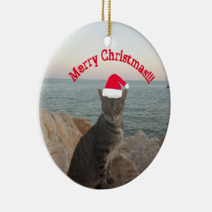 Ornamento De Cerâmica Feliz Christmasb Cat