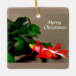 Ornamento De Cerâmica Feliz Natal Cactus
