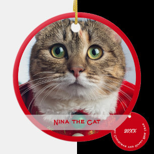 Ornamento De Cerâmica Feliz Natal da Família Gato