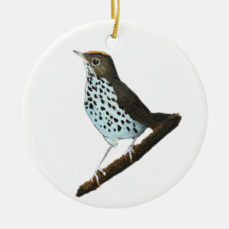 Ornamento De Cerâmica Feliz Natal ~Ovenbird~