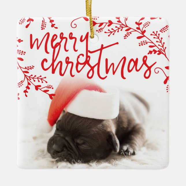 Ornamento De Cerâmica Feliz Natal Red Branch Foto Personalizada Pet (Frente)