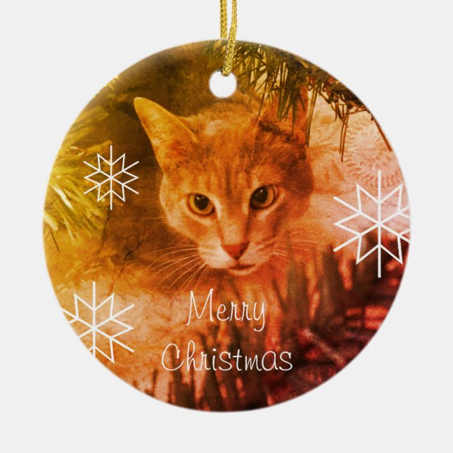 Ornamento De Cerâmica Feliz Natal Tabby Cat Snowflakes (Frente)