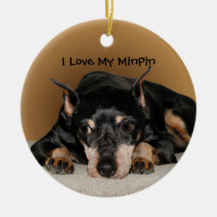 Ornamento De Cerâmica Feriado de Amor de Min Pin Pin Miniature Pinscher