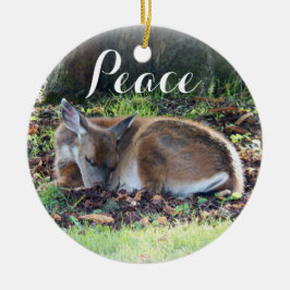 Ornamento De Cerâmica Feriado de Paz em Foto de Velho