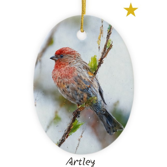 Ornamento De Cerâmica Feriado do Ano Personalizado de Pintura de Pássaro (Criador carregado)