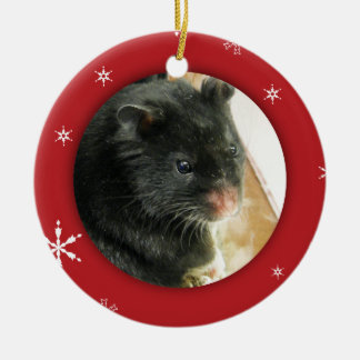 Ornamento De Cerâmica Feriado personalizado da foto do hamster/animal de