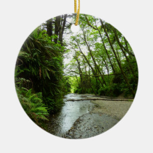 Ornamento De Cerâmica Fern Canyon II no Parque Nacional de Redwood
