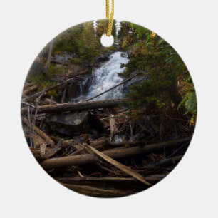 Ornamento De Cerâmica Fern Falls no Parque Nacional Rocky Mountain