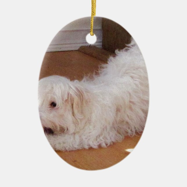 Ornamento De Cerâmica Filhote de cachorro branco de Havanese que joga (Frente)