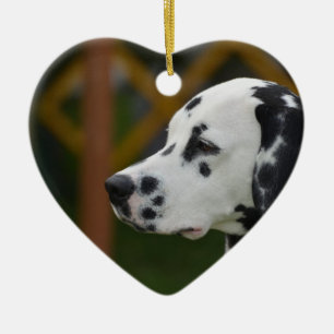 Ornamento De Cerâmica Filhote de cachorro Dalmatian bonito