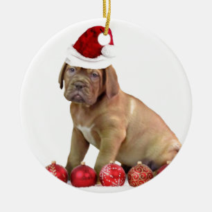 Ornamento De Cerâmica Filhote de cachorro de Christas Dogue de Bordéus