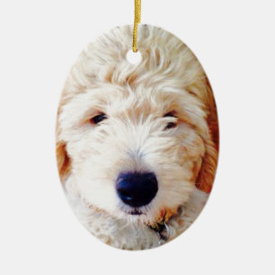 Ornamento De Cerâmica Filhote de cachorro de Goldendoodle