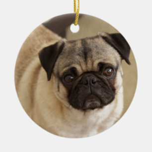 ORNAMENTO DE CERÂMICA FILHOTE DE CACHORRO DO CÃO DO PUG