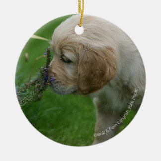 Ornamento De Cerâmica Filhote de cachorro do golden retriever