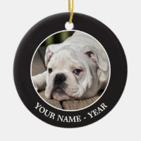Filhote de cachorro inglês do buldogue