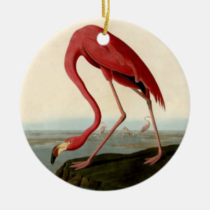 Ornamento De Cerâmica Flamingo do americano de Audubon