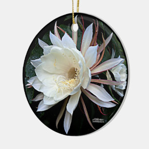 Ornamento De Cerâmica Flor de Cactus Epífitas