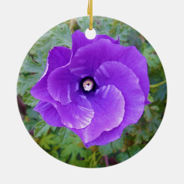 Ornamento De Cerâmica Flor De Hibisco Roxo Profundo, (Traseira)