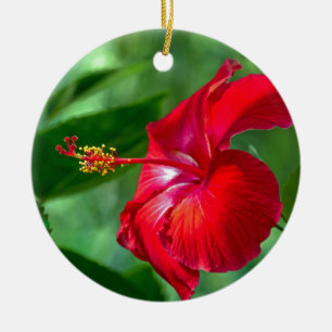 Ornamento De Cerâmica Flor de Hibiscus