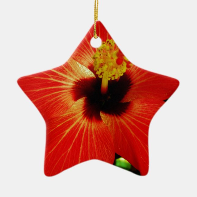 Ornamento De Cerâmica Flor de Hibiscus Vermelho Brilhante (Frente)