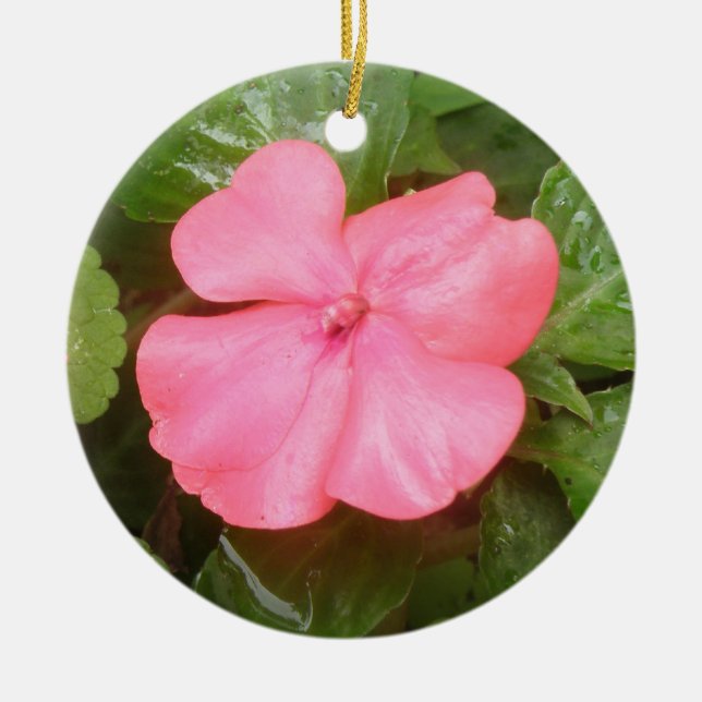 Ornamento De Cerâmica Flor de Impatiens Rosa (Frente)