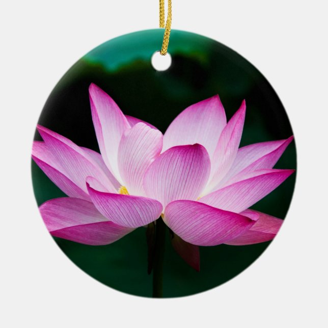 Ornamento De Cerâmica Flor de Lotus Rosa (Frente)