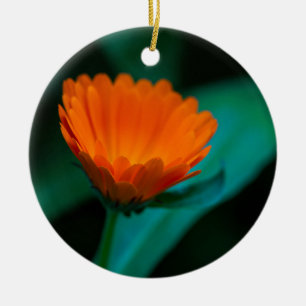 Ornamento De Cerâmica Flor de margarida laranja