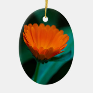Ornamento De Cerâmica Flor de margarida laranja