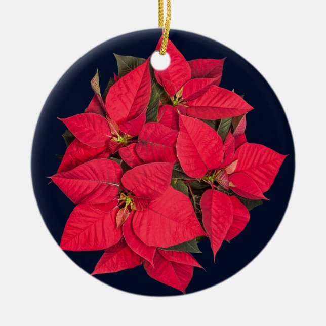 Ornamento De Cerâmica Flor de Natal vermelha em azul (Frente)