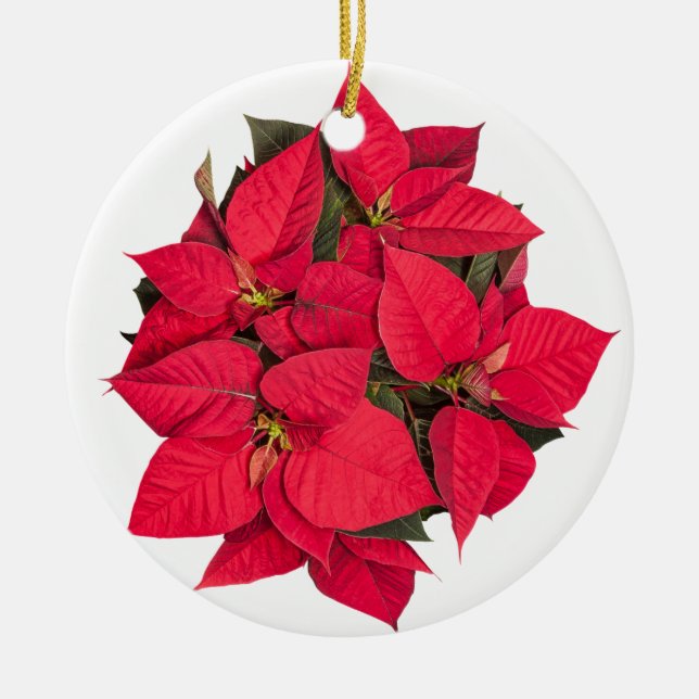 Ornamento De Cerâmica Flor de Natal Vermelho (Frente)