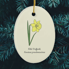 Ornamento De Cerâmica Flor de Pastel de Daffodil Selvagem Botânica