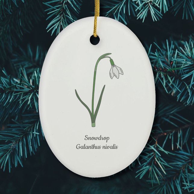 Ornamento De Cerâmica Flor de Pastel de Neve Botânica (Botanical Snowdrop Ornament)