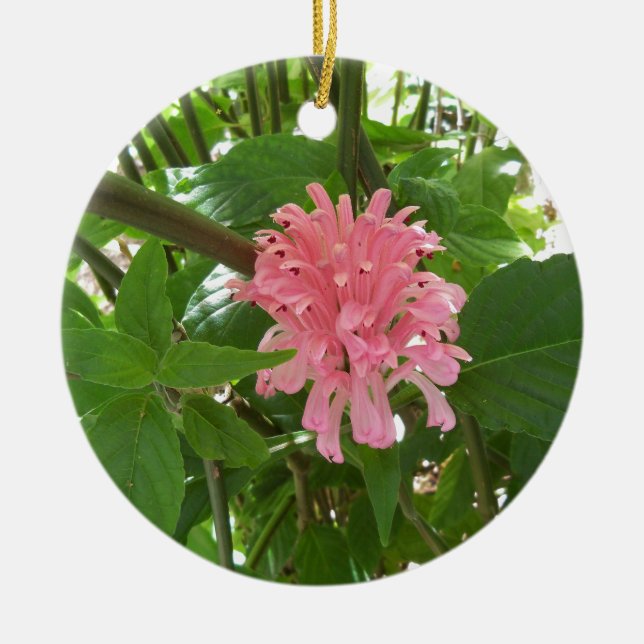 Ornamento De Cerâmica Flor de pluma brasileira (Frente)