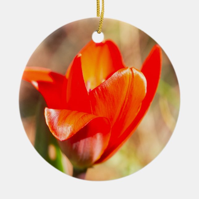 Ornamento De Cerâmica Flor de Tulipas Vermelhas (Frente)