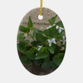 Ornamento De Cerâmica Flor do passeio