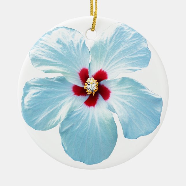 Ornamento De Cerâmica Flor Hibiscus Havaiana (Frente)
